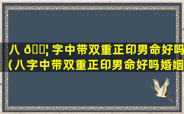 八 🐦 字中带双重正印男命好吗（八字中带双重正印男命好吗婚姻如何）